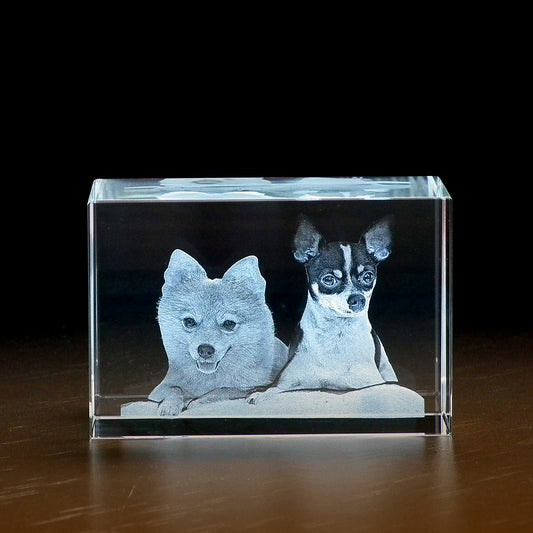 3D laserfoto in glas