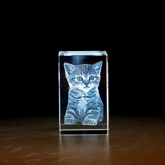 3D laserbeeld in glas