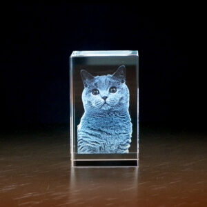 Aandenken Kat - Foto in glas